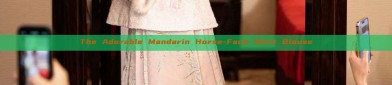 The Adorable Mandarin Horse-Face Skirt Blouse
