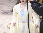 The Evolution of Ancient Chinese Hairpins:A Journey Through Time in Traditional Costume Jewelry