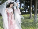 The Splendor of Luo Ruyan in Traditional Hanfu Fashion