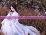 The Splendor of Qingziji Hanfu:A Journey Through Traditional Chinese Elegance