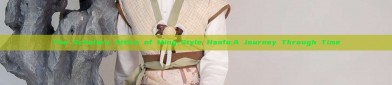 The Scholars Attire of Ming-Style Hanfu:A Journey Through Time