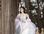 Exploring the Enchantment of Dark Blue Hanfu Shoes:A Cultural Journey
