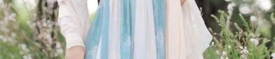 The Loose-fitting Cheongsam with Reverse-袖 Style:A Modern Perspective