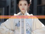 Exploring the World of Authentic Hanfu Blind Bags in the Heart of Cao County