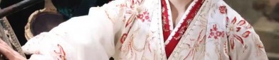 The Splendor of Xue Baochai in Hanfu Fashion:A Cultural Exploration