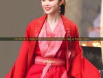 Adult Womens Hanfu Fashion in Ancient Times:The 30-Year-Olds Perspective