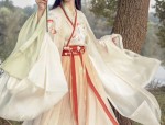 The Splendor of Qin Dynasty Hanfu Women:A Journey Through Time