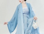 The Charm of Sleeve-Length Fashion in Short-Style Cheongsam