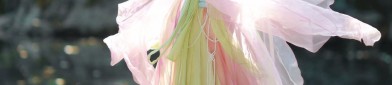 Adult Petite Womens Ancient Hanfu Costumes:A Guide to Styling and Fitting