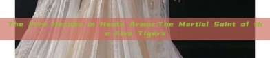 The Five Heroes in Hanfu Armor:The Martial Saint of the Five Tigers