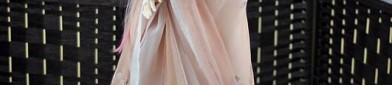 The Splendid Splendor of Song Hanfu:The Allure of Wanshou Ming Style
