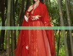 Beautiful Scholars Attire:Exploring the Allure of Traditional Hanfu Fashion in Modern Context