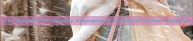 The Splendor of Tapestry Cheongsam:A Traditional Chinese Elegance
