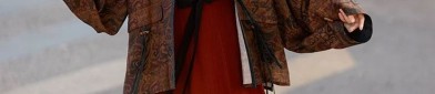 The Enchantment of Girls Horse-Tail Skirt Set in Traditional Hanfu Fashion