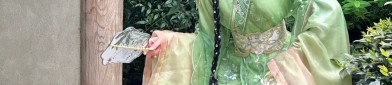 Traditional Chinese Style Blouse and Horseface Skirt:A Fusion of Elegance and Heritage