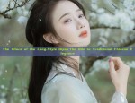 Purple Hairpins and the Revival of Hanfu Fashion