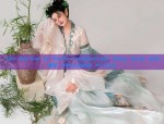 The Splendor of Red Song-Style Hanfu:A Journey into Traditional Chinese Elegance