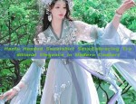 The Evolution of Hanfu Hair Pressing:Embracing Traditional Beauty