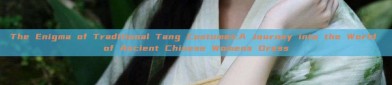 The Enigma of Traditional Tang Costumes:A Journey into the World of Ancient Chinese Womens Dress