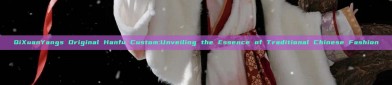 QiXuanYangs Original Hanfu Custom:Unveiling the Essence of Traditional Chinese Fashion