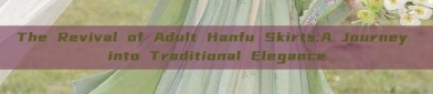 The Revival of Adult Hanfu Skirts:A Journey into Traditional Elegance