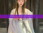 The Splendor of Traditional Hanfu Headwear:Exploring the Richness of Hanfu Decorative Headgear