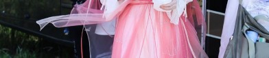 The Splendor of Traditional Chinese Clothing:Hanzu Cheong of Hua Ziyi