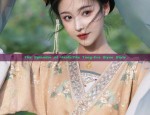 Traditional Chinese Style Tang Costume:The Charm of the Qipao-Style Jacket