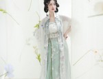 Ancient Style Blouse and Horseface Skirt:A Fusion of Traditional Elegance