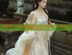 Phoenix Pattern Cheongsam:A Blend of Tradition and Elegance