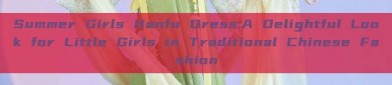 Summer Girls Hanfu Dress:A Delightful Look for Little Girls in Traditional Chinese Fashion