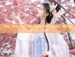 Embracing Originality:The Evolution of Traditional Hanfu Clothing