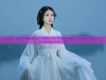Exploring the World of Authentic Hanfu Blind Bags in the Heart of Cao County