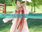 The Charm of Qipao Baby Dresses