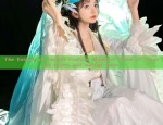 Traditional Chinese Costume:The Splendor of Ancient Clothing