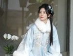 The Charm of Sleeve-Length Fashion in Short-Style Cheongsam