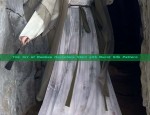 The Art of Bamboo Horseface Skirt with Burnt Silk Pattern