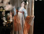 The Splendor of Black-Red Hanfu in the Wei-Jin Era