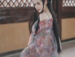 The Elegance of a Dark Blue Horseface Skirt in Traditional Chinese Fashion