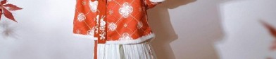 The Adventures of a Primary Schoolgirl Hero in Traditional Chinese Hanfu Costume