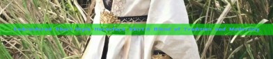 Embroidered Short-Style Horseface Skirt:A Blend of Tradition and Modernity