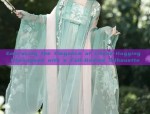 A Summer of Cultural Splendor:The 12-Year-Old Girl in Traditional Hanfu Attire