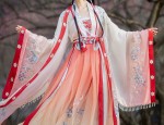 Tang and Hanfu Fashion:A Summer Tale of a Tang-era Maiden