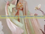 Ancient Girls Hanfu Skirt Outfit:A Complete Guide to Traditional Chinese Childrens Dress