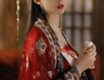 The Dominating Presence of a Traditional Hanfu Student in Ancient Attire