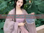 Summer 2023:Authentic Hanfu Song Style A Guide to Quality Hanfu for the Modern World