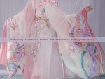 Astronomy and Traditional Chinese Costume:The Twelve Zodiac Signs in Hanfu Fashion