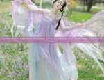 Winter Hanfu Costumes for Little Girls A Journey into Traditional Chinese Attire