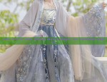 Little Girls in Hanfu Strappy Skirts:A Glimpse into Traditional Elegance