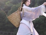 Exploring the World of Childrens Summer Hanfu Fashion